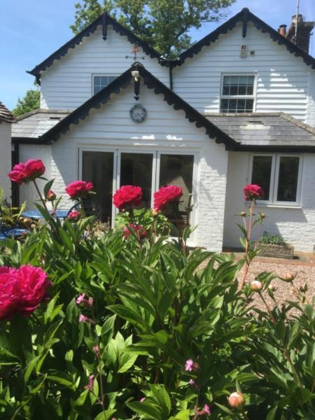 Wishing Well Cottage Wilmington  Екстер'єр фото